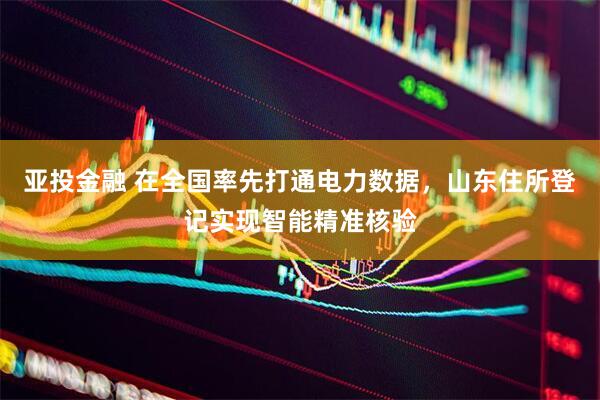 亚投金融 在全国率先打通电力数据，山东住所登记实现智能精准核验